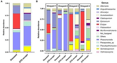 Grapevines escaping trunk diseases in New Zealand vineyards have a distinct microbiome structure